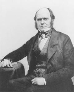 Umelecká fotografie Portrait of Charles Darwin, 1854, English Photographer,, (30 x 40 cm)