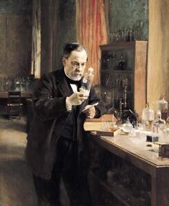 Fotografia Louis Pasteur in his Laboratory, 1885, Edelfelt, Albert Gustaf Aristides
