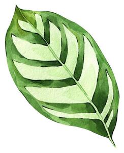 Ilustrácia Watercolor hand painted green tropical leaves,, DZHAMILIA ABDULAEVA
