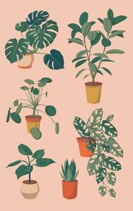 Ilustrácia houseplants set, Alina Beketova
