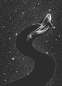 Ilustrácia Starry Orca, Aliriza Cakir, (30 x 40 cm)