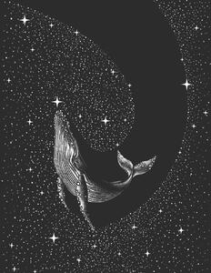 Ilustrácia Starry Whale, Aliriza Cakir, (30 x 40 cm)