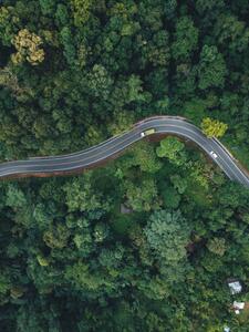 Fotografia Green road up the mountain in the rainy season, ArtRachen01, (30 x 40 cm)
