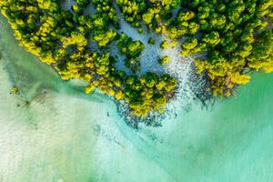 Umelecká fotografie Overhead view of a tropical mangrove lagoon, Roberto Moiola / Sysaworld, (40 x 26.7 cm)