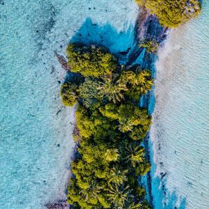 Fotografia Aerial shot of tropical island, Maldives, graphixel, (40 x 40 cm)
