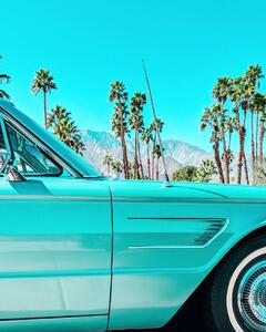 Umelecká fotografie Teal Thunderbird in Palm Springs, Tom Windeknecht, (30 x 40 cm)