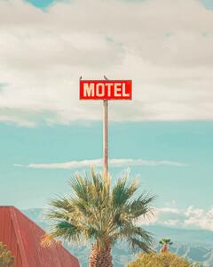 Umelecká fotografie This Motel is for the Birds, Tom Windeknecht, (30 x 40 cm)
