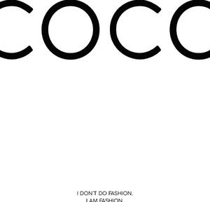 Ilustrácia coco1, Finlay & Noa, (30 x 40 cm)