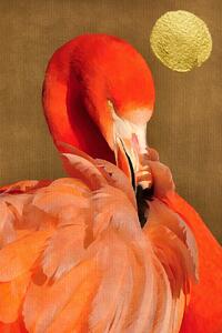Ilustrácia Flamingo With Golden Sun, Kubistika, (26.7 x 40 cm)