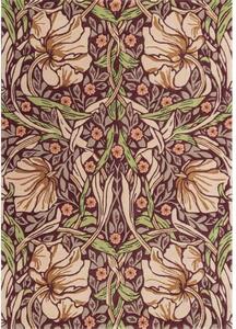 Jutex Vlnený kusový koberec Pimpernel 28 805 viacfarebný, Rozmery 1.40 x 2.00