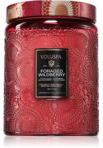 VOLUSPA Japonica Foraged Wildberry vonná sviečka 510 g