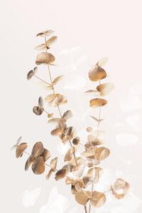 Ilustrácia Eucalyptus Creative Gold 03, Studio Collection, (26.7 x 40 cm)