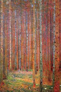 Plagát, Obraz - Jedľový les, (61 x 91.5 cm)