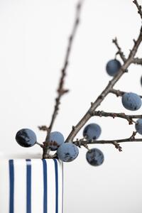 Fotografia Berries Blue, Studio Collection, (26.7 x 40 cm)