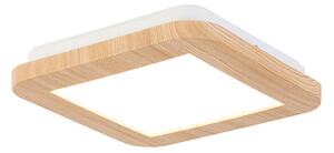Stropné svietidlo natural 17 cm štvorcové vrátane LED 3-stupňovo stmievateľné - Linda