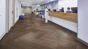 FORBO Flotex Planks Ombre Tundra 149008 - 2.50 m2