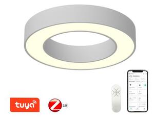 PASTEL 60 | IMMAX NEO | smart LED prisadené svietidlo Farba: Biela matná