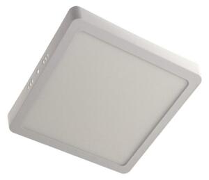 LED Stropné svietidlo GERRY LED/18W/230V 4000K biela