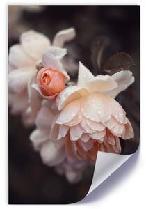 Plagát Makro fotografovanie kvetov Farba rámu: Bez rámu, Rozmery: 30 x 45 cm