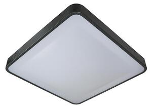 LED Stropné svietidlo WILTON LED/24W/230V antracit