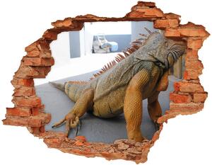 Fototapeta diera na stenu Iguana nd-c-97700993