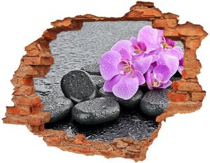 Samolepiaca diera na stenu nálepka Orchidey kamene