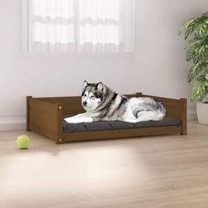 Psia posteľ medovo-hnedá 105,5x75,5x28 cm borovicový masív