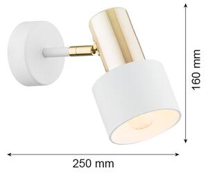 Argon 4264 - Nástenné bodové svietidlo DORIA 1xE27/15W/230V biela/mosadz