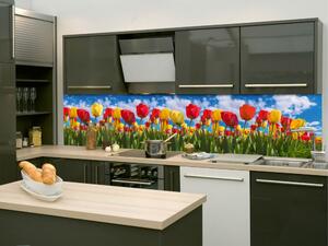 Dimex fototapety do kuchyne, samolepiace KI-260-131 Pole tulipánov 60 x 260 cm