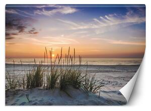Fototapeta Západ slnka na pláži Materiál: Vliesová, Rozmery: 200 x 140 cm
