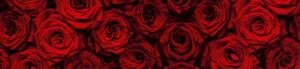 Dimex fototapety do kuchyne, samolepiace KI-260-132 Červené ruže 60 x 260 cm
