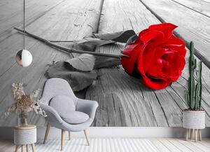 Fototapeta Červená ruža Materiál: Vliesová, Rozmery: 200 x 140 cm