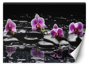 Fototapeta Zenové kamene a orchidey Materiál: Vliesová, Rozmery: 200 x 140 cm