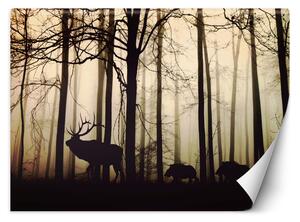Fototapeta Zvieratá v lese Materiál: Vliesová, Rozmery: 200 x 140 cm