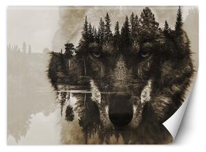 Fototapeta Vlk na pozadí jazera Materiál: Vliesová, Rozmery: 200 x 140 cm