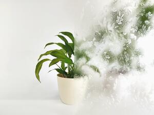 Priesvitná fólia na okno Lístky - šírka 40 cm