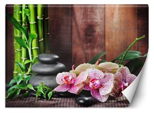 Fototapeta Orchidea s bambusom Materiál: Vliesová, Rozmery: 200 x 140 cm