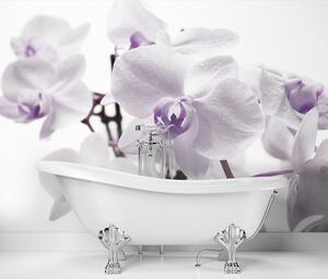 Fototapeta Kvitnúca orchidea Materiál: Vliesová, Rozmery: 200 x 140 cm