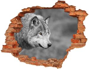 Diera 3D fototapeta nálepka Šedý vlk nd-c-125421387