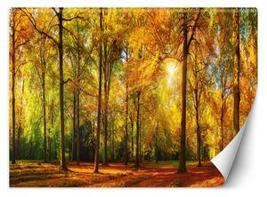 Fototapeta Jesenný les Materiál: Vliesová, Rozmery: 200 x 140 cm