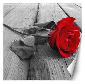 Fototapeta Červená ruža na starých doskách Materiál: Vliesová, Rozmery: 100 x 100 cm