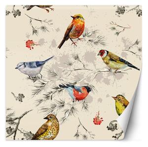 Fototapeta Farebné vtáky maľované akvarelom Materiál: Vliesová, Rozmery: 100 x 100 cm