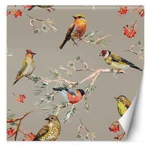 Fototapeta Strom jarabina a farebné vtáky Materiál: Vliesová, Rozmery: 100 x 100 cm