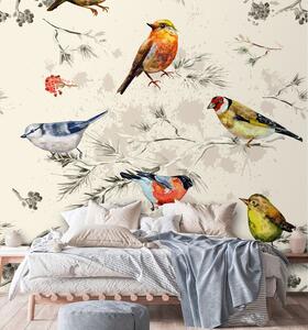 Fototapeta Farebné vtáky maľované akvarelom Materiál: Vliesová, Rozmery: 100 x 100 cm