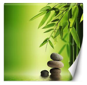 Fototapeta Bambusové listy na zelenom pozadí Materiál: Vliesová, Rozmery: 100 x 100 cm