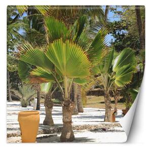Fototapeta Palmy na tropickej pláži Materiál: Vliesová, Rozmery: 100 x 100 cm