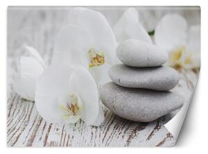 Fototapeta Kvety a zenové kamene Materiál: Vliesová, Rozmery: 200 x 140 cm