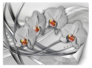 Fototapeta Abstraktné orchidey Materiál: Vliesová, Rozmery: 200 x 140 cm