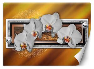 Fototapeta Geometria a orchidey Materiál: Vliesová, Rozmery: 200 x 140 cm