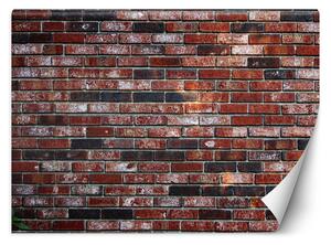 Fototapeta Červená tehlová stena Materiál: Vliesová, Rozmery: 200 x 140 cm